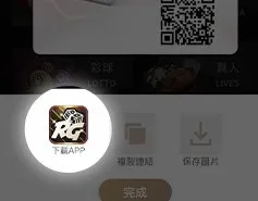 富遊娛樂城APP下載教學-點選富遊LOGO